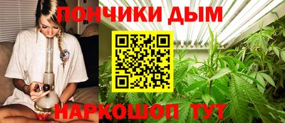 ECSTASY Шелехов