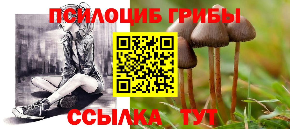 Галлюциногенные грибы мицелий  Вход с VPN  Зеленокумск 